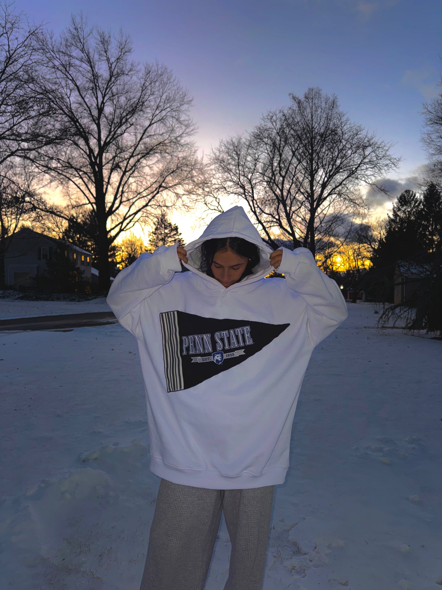 Penn State Stadium Pennant Hoodie